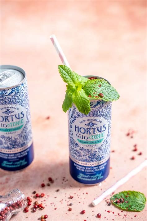 In pictures: Lidl is selling delicious gin cocktails in a can from just €1.49 - RSVP Live