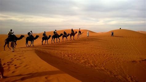 How to Shoot Perfect Desert Photography Image