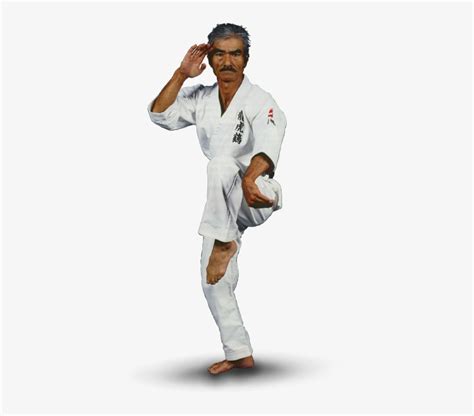 Shinyu-gushi - Karate Gi Uechi Ryu Transparent PNG - 386x640 - Free ...