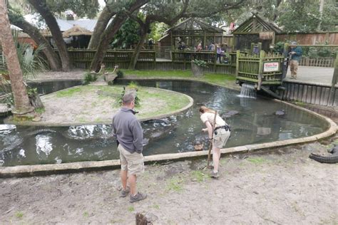 The Alligator Farm, St. Augustine, Florida (With Rucks On) – GORUCK ...