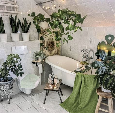 17 Bathroom Plants That Were Styled Perfectly