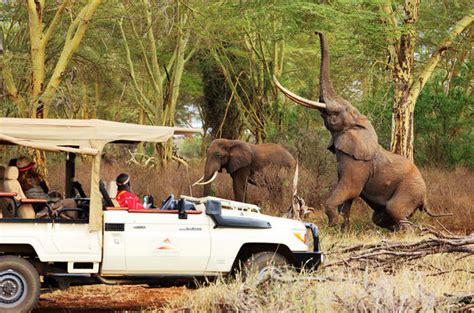 Tsavo West National Park - Kenya Safari Guide