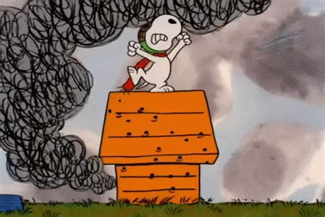 Charlie Brown Halloween GIF by Peanuts - Find & Share on GIPHY