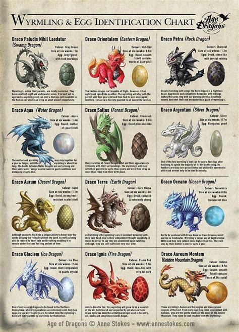 dragon breed chart Mythical Creatures Art, Mythological Creatures, Magical Creatures, Fantasy ...