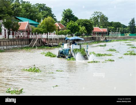 Water hyacinth boat removal hi-res stock photography and images - Alamy