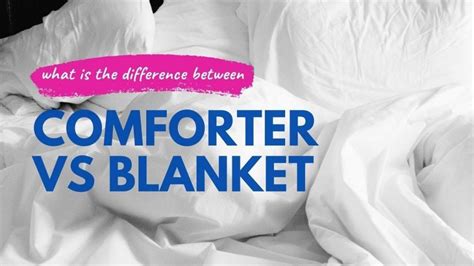 Comforter vs Blanket Mattress Comparison Guide Updated 2024