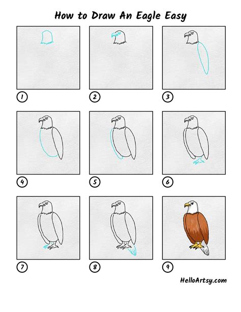 How To Draw Eagles Step By - Religionisland Doralutz