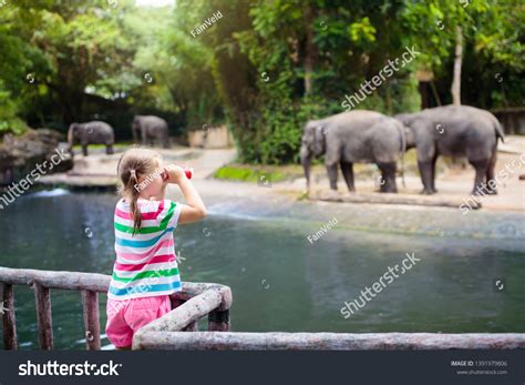 Family Feeding Elephant Zoo Children Feed Stock Photo (Edit Now) 1391979806