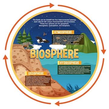 Premium Vector | Biosphere ecology infographic for learning