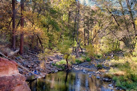 Manzanita Campground, Coconino, AZ: 6 Hipcamper Reviews And 13 Photos