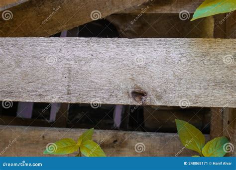 Wood Texture Background. Wood Surface with Natural Pattern Stock Image - Image of panel, natural ...