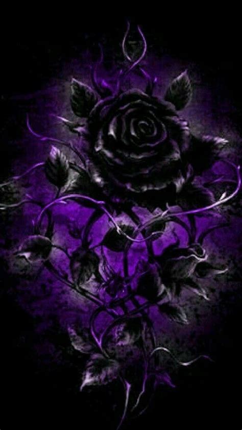 Pin de 💜 Purple 💜 en Black Purple | Rosas negras, Rosas fondo de pantalla, Rosas púrpuras