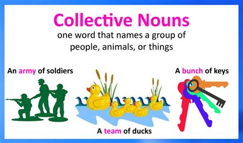 Collective Nouns | Free Lessons And Worksheets