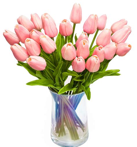 Pink Tulips Bouquet | ubicaciondepersonas.cdmx.gob.mx