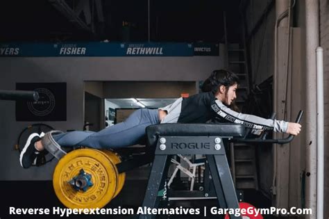 6 Best Reverse Hyperextension Alternative Exercises