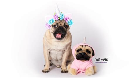 Doug The Pug© | Claire's US