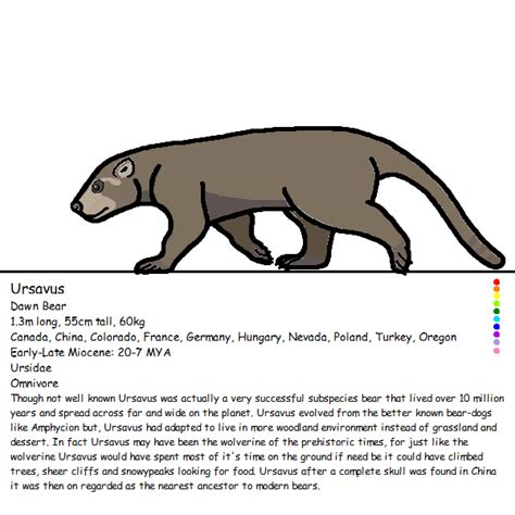 Ursavus by https://whitedragon66.deviantart.com on @DeviantArt | Prehistoric creatures, Dinosaur ...