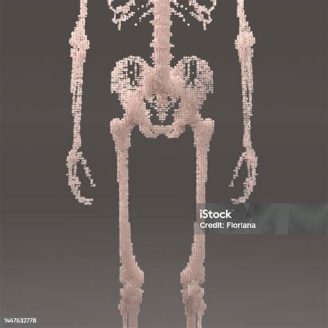 Digital Anatomy Stock Photo - Download Image Now - Abstract, Accessibility, Anatomical Model ...