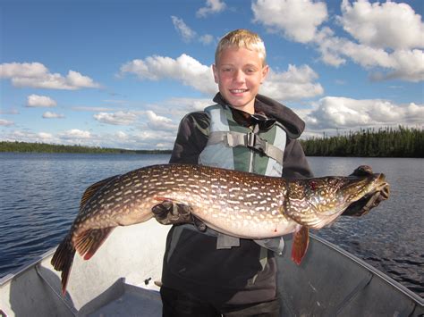 Grayson Lake | Northern Pike | Grayson Lake In Canada