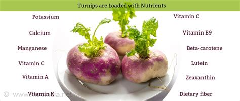 Top 10 Health Benefits of Turnip