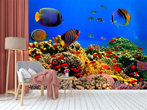 Coral Scuba Wallpaper – Myindianthings