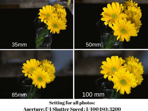 3 Ways Depth of Field Can Help You Get Great Bokeh - Everyday Eyecandy