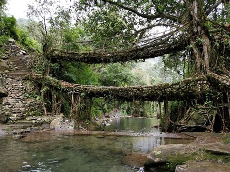 Home To Double Decker Living Root Bridge - Nongriat Village - Tripoto