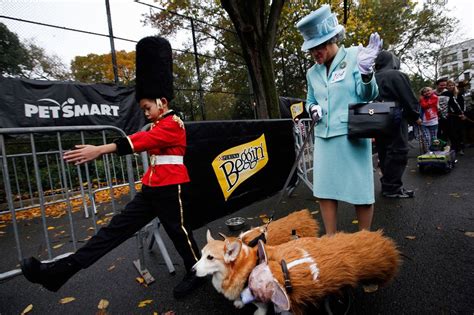 The Cutest Costumes from NYC's Annual Halloween Dog Parade