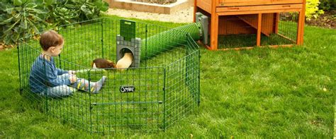 Best Outdoor Guinea Pig Runs | Buyers Guide | Hutch and Cage