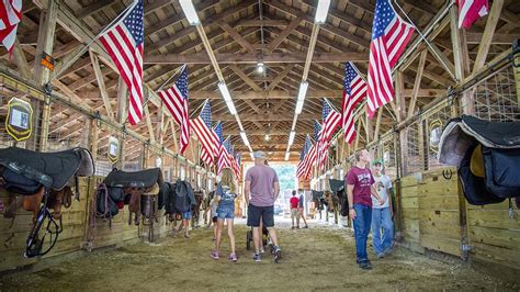 Berrien County Youth Fair | Southwestern Michigan Tourist Council