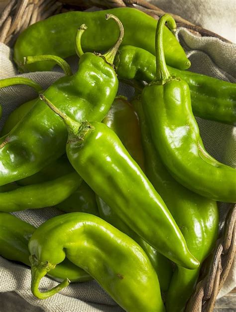 A Quick Guide to Hatch Green Chile Peppers