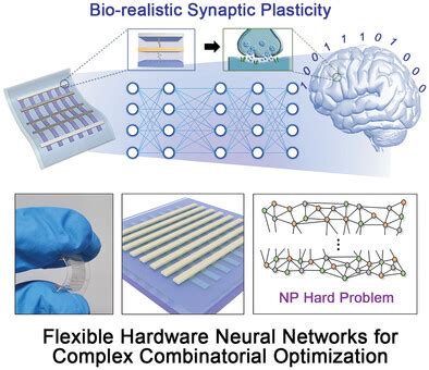 Organic Memristor‐Based Flexible Neural Networks with Bio‐Realistic ...