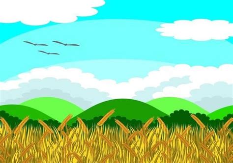 Free Rice Field Illustration 128801 Vector Art at Vecteezy ...