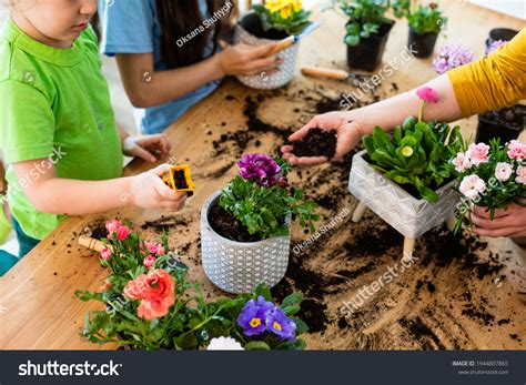 Educational Hobbies Development Family Children Stock Photo 1944807865 ...