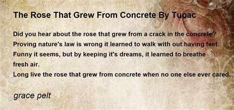 Rose That Grew From Concrete Tupac Poem