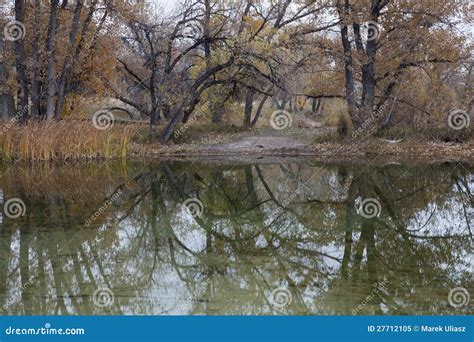 Autumn lake reflections stock image. Image of landscape - 27712105