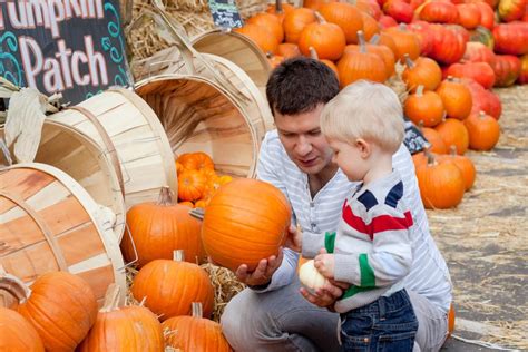 15 Pumpkin Patch Activities for Your Autumn Road Trip