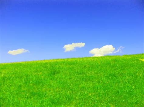 Grass And Sky Backgrounds