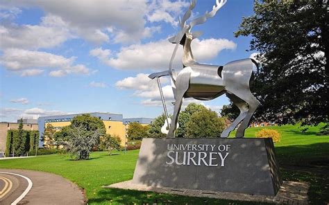 University of Surrey: a guide to the courses, rankings and student life