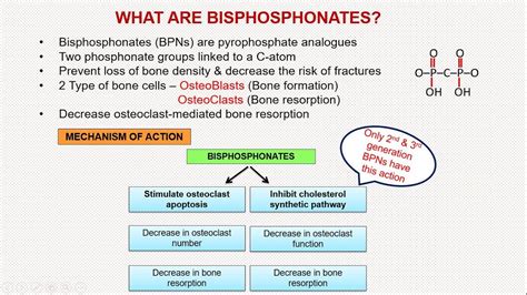 What Are Bisphosphonates? | Health Advice, News, Resources And ...