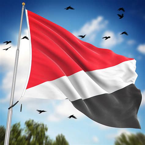 100+ Sealand Flag Stock Photos, Pictures & Royalty-Free Images - iStock