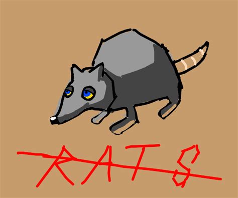 jerma rat - Drawception