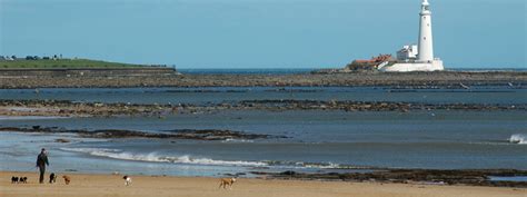 Newcastle's Most Beautiful Beaches Revealed | Leonardo Hotels