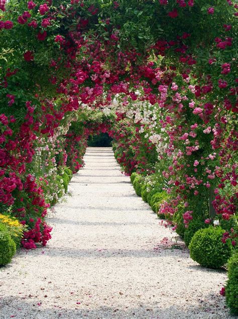 2021 Flower Arch Door Garden Wedding Photography Backdrops Printed Spring Scenery Green Plants ...