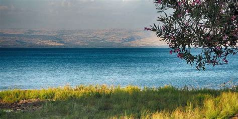 Sea of Galilee is filled to overflowing as rainfall blesses Israel