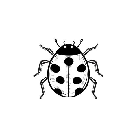 Premium Vector | Vector hand drawn ladybug outline doodle icon. Ladybug sketch illustration for ...