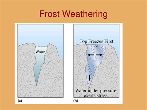 PPT - Weathering PowerPoint Presentation, free download - ID:3755606