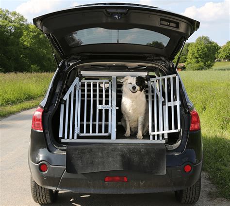 7 Most Asked Questions and Their Answers About Pet Transport