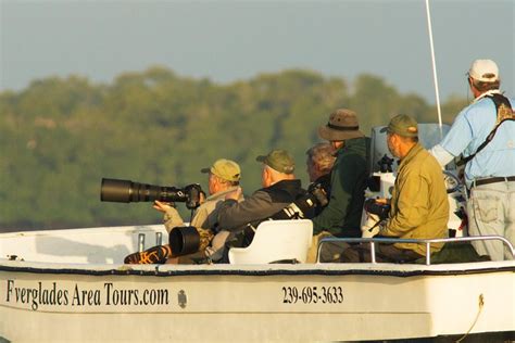 2023 Two-Hour Everglades National Park Dolphin, Birding and Wildlife Boat Tour