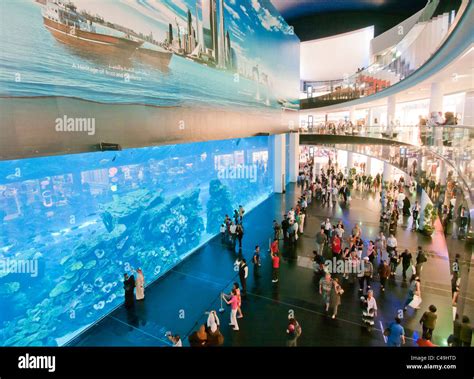 The aquarium inside Dubai Mall in UAE Stock Photo - Alamy